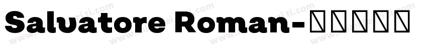 Salvatore Roman字体转换